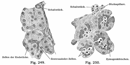 Fig. 249-250.