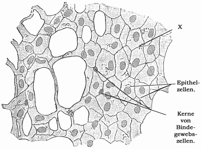 Fig. 272.
