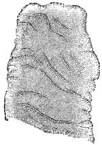 Fig. 275.