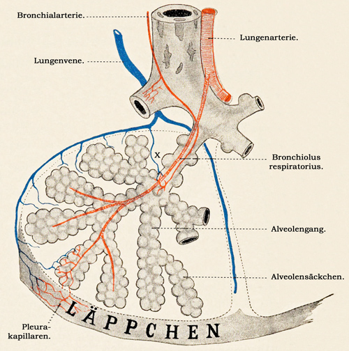Fig. 279.
