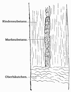Fig. 335.