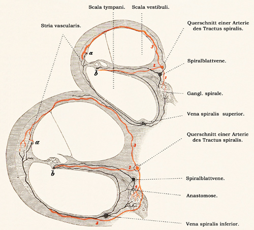 Fig. 389.