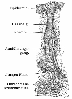Fig. 390.